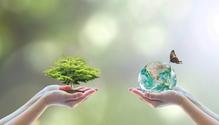 Sustainable View of Packaging