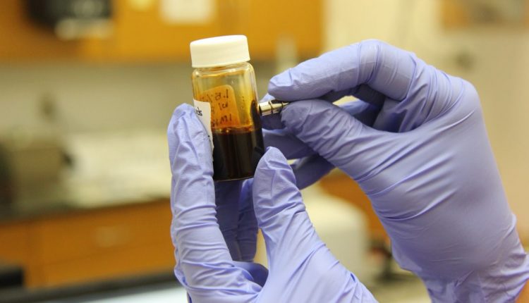 DEVELOP CONDUCTIVE BIOPOLYMERS