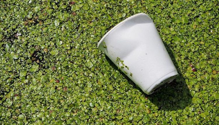 Light, Oxygen Turn Waste Plastics