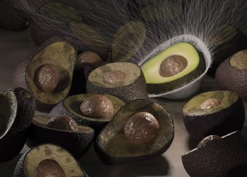 Berry’s New India Facility