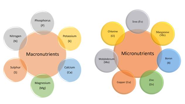 "Innovations in Electrochemistry: Exploring the Potential of Nano Sensors and Energy Storage Devices"