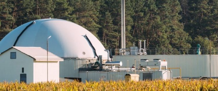 CO2BioClean: Turning CO₂ into Biodegradable Plastics.